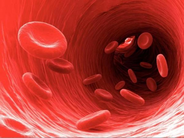 За что дали Нобелевскую премию по физиологии и медицине