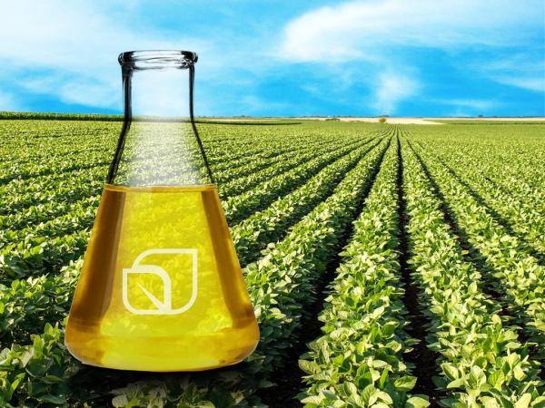Как избавиться от нефтяной зависимости своими руками