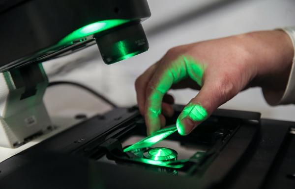 Ученые нашли в Якутии древние бактерии возрастом более 3 млн лет