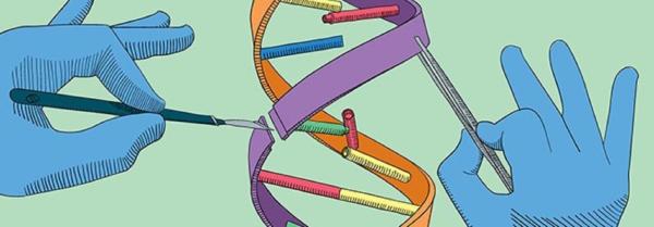 Регистрация первого в мире лекарства ускорит применение в медицине "ремонта" ДНК