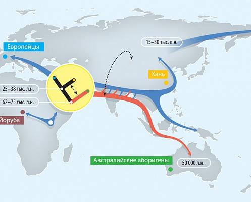 Чем денисовский человек отличается от Homo sapiens?