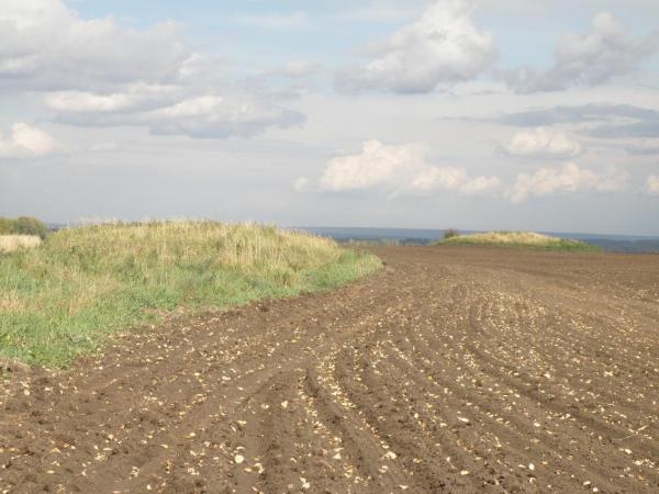 Новосибирские ученые изучают наследие дореволюционной археологии