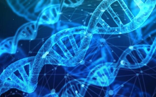 Десять научных прорывов года по версии журнала Science 