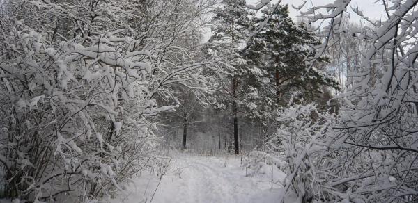 Как названия снега у якутов отражают их образ жизни