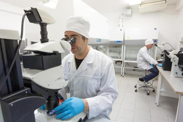 Исследования новосибирских ученых направлены на развитие методов криоконсервации живых организмов