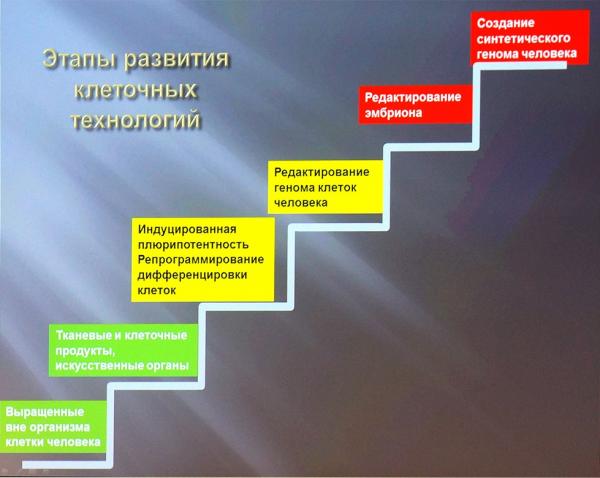 Развитие клеточных технологий кардинально изменит возможности медицины