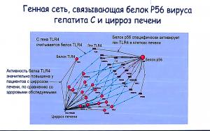 Анализ генных сетей, в частности, позволяет понять, каким образом воздействие вируса или мутации самого гена может приводить к развитию определенного заболевания