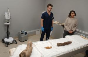 Три бивня мамонтов, найденные на севере Якутии, привлекли внимание ученых своей необычной формой