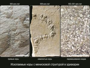 Ископаемые норы