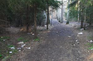  НГУ - конечная остановка «Цветной проезд»