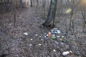 Каждый день на тропинках через лес в Академгородке 