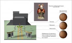 «Памятник мыши» - удачный пример демонстрационной площадки, на маршруте «Тропы науки»