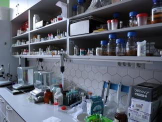 В НГУ создана лаборатория для кристаллизации биополимеров и их исследования на станции «Структурная диагностика» в ЦКП «СКИФ»