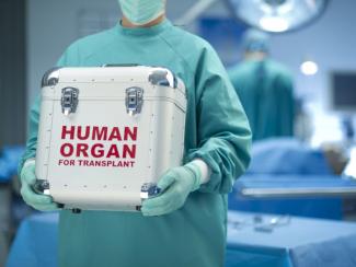 Какое влияние на транспланталогию оказывают достижения в области клеточных технологий и геномного редактирования