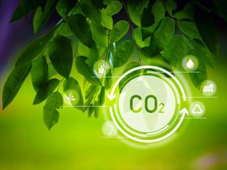 Западные ученые пытаются доказать вредное влияние антропогенного углекислого газа на качество растительной еды