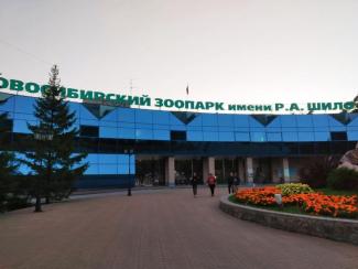 Руководство новосибирского Зоопарка рассказало о планах на будущее