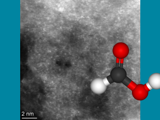 Российские и китайские ученые развивают низкотемпературное получение водорода из биомассы