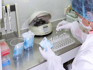 Новосибирская компания ведет разработку ферментов для подготовки NGS-библиотек