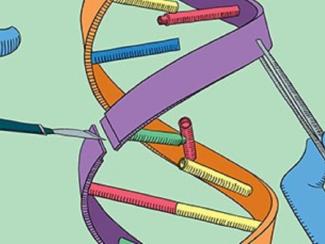 Регистрация первого в мире лекарства ускорит применение в медицине "ремонта" ДНК