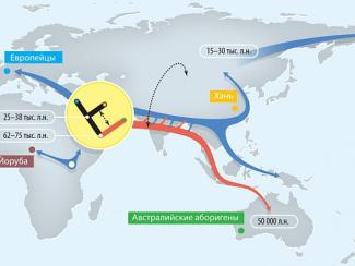 Чем денисовский человек отличается от Homo sapiens?