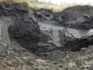 Ученые оценили опасность оживших бактерий из вечной мерзлоты