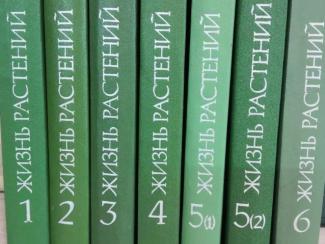 Ученый доказал обществу, что жизнь растений не менее интересна, чем жизнь животных