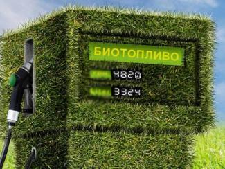 Западные ученые ставят под сомнение «зеленый» характер биоэнергетики