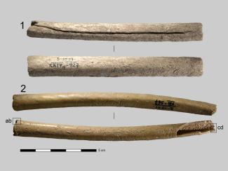 Общий вид костяных игольников, фото ИАЭТ СО РАН Общий вид костяных игольников, фото ИАЭТ СО РАН