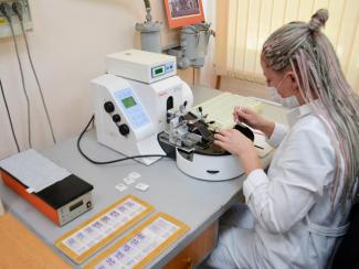 Сибирские ученые создали биодобавку для повышения выносливости