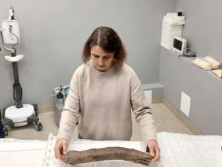 Ученые НГУ впервые в России осуществили томографическое сканирование дефектных бивней мамонтов