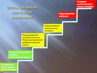 Развитие клеточных технологий кардинально изменит возможности медицины