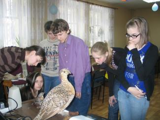 Научить человека слышать сигналы, исходящие от природы 